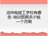 沧州电焊工学校有哪些-培训班啊多少钱一个月啊