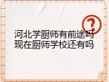 河北学厨师有前途吗现在厨师学校还有吗