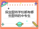 保定厨师学校都有哪些厨师的中专生