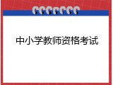中小学教师资格考试