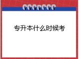 专升本什么时候考