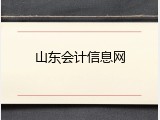 山东会计信息网