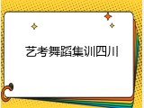 艺考舞蹈集训四川