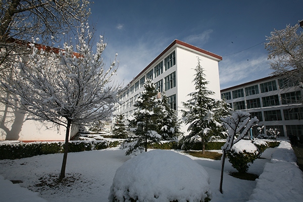 西藏大学