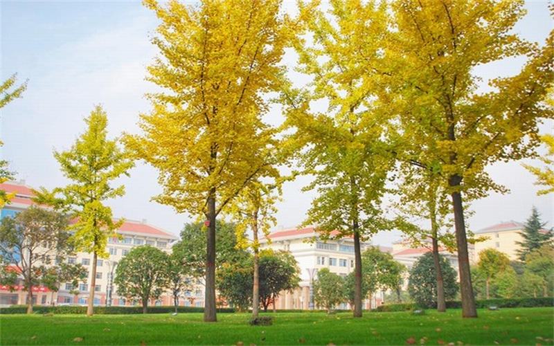 西安思源学院