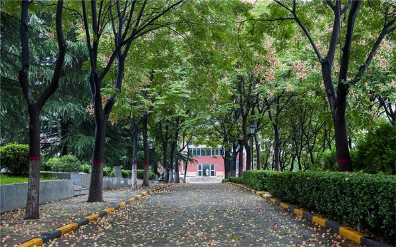 西安思源学院