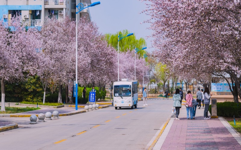 长安大学