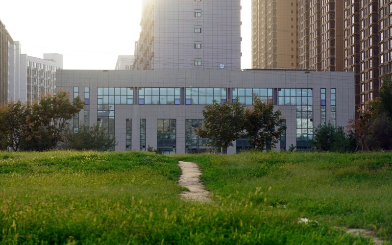 长安大学