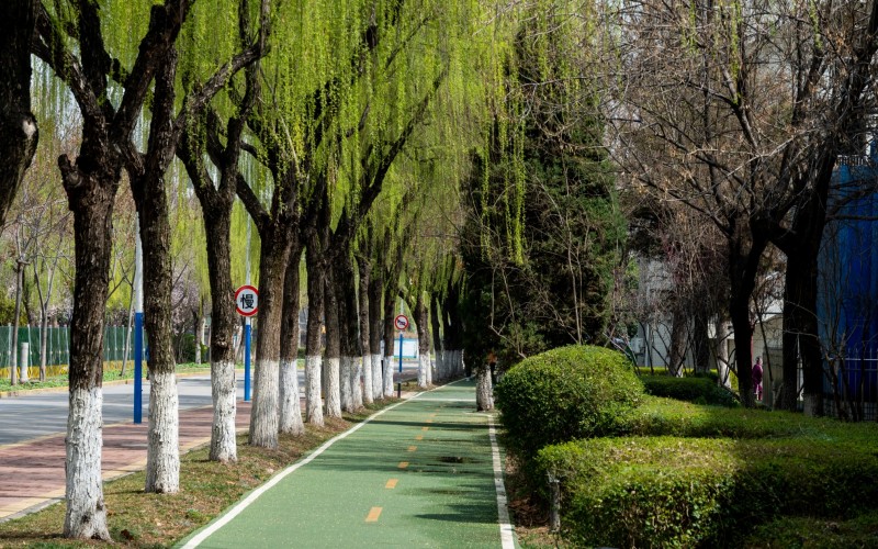 长安大学