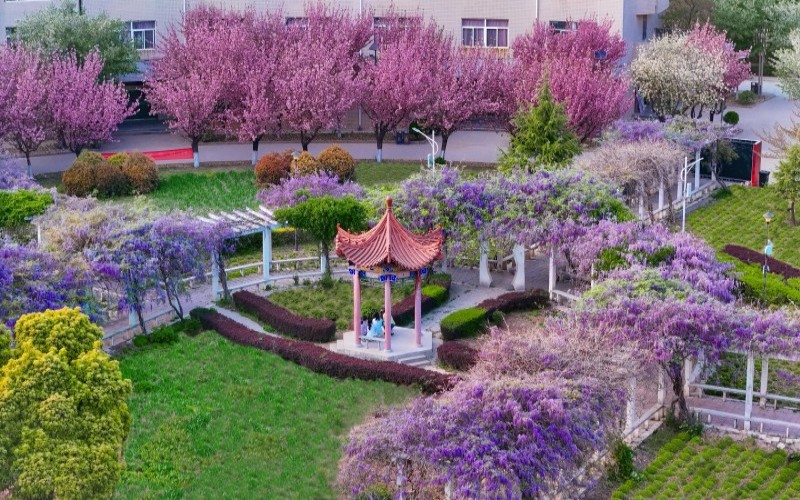 西安财经大学行知学院