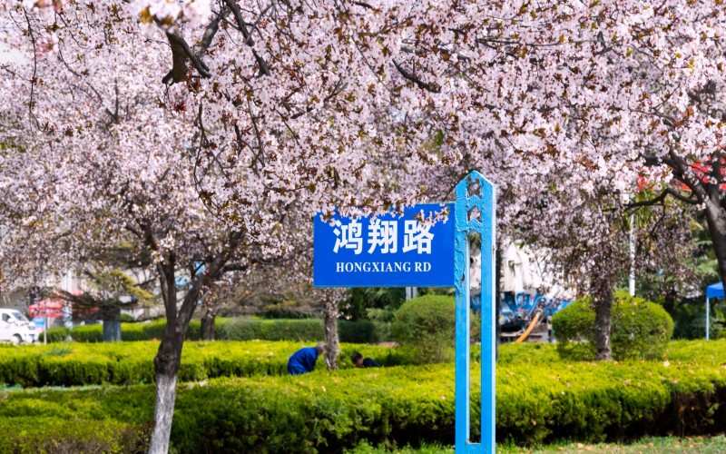 长安大学