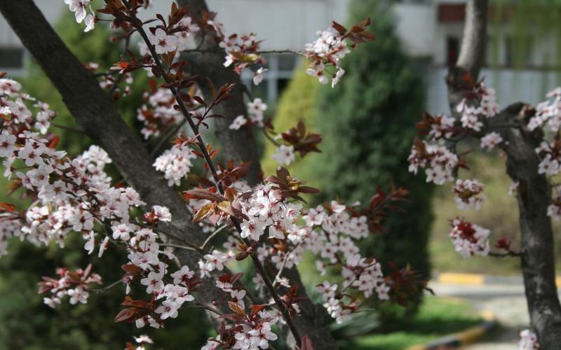 陕西机电职业技术学院