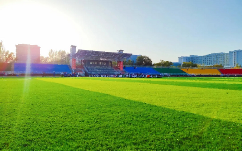 新疆财经大学