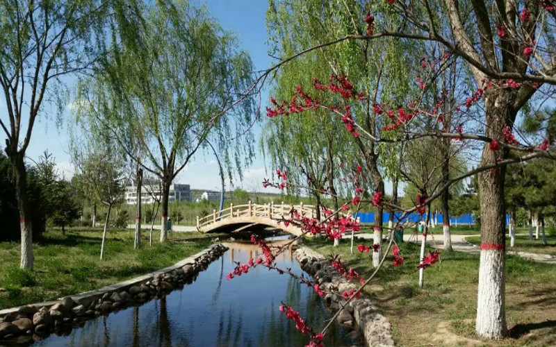 宁夏师范大学