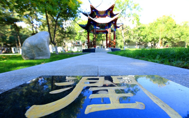 新疆农业职业技术大学