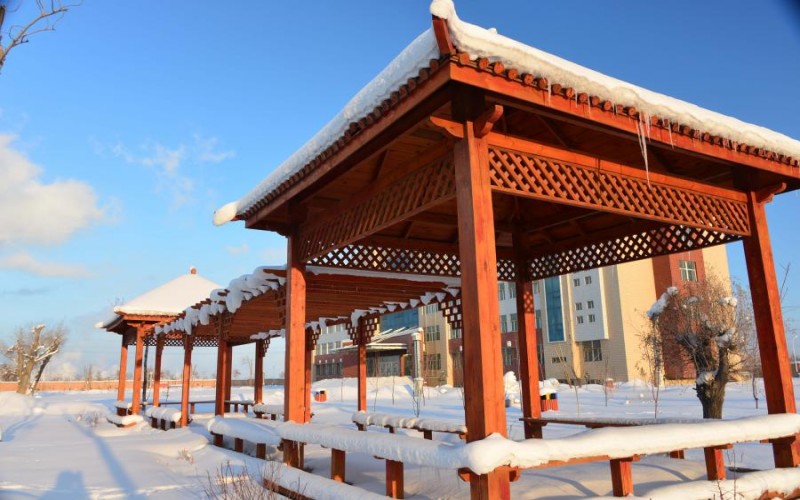 石河子工程职业技术学院