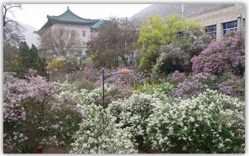 西北民族大学