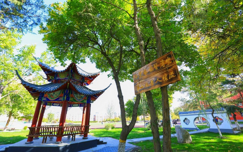 新疆农业职业技术大学