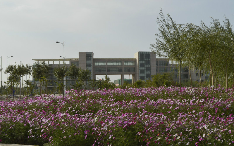 宁夏理工学院