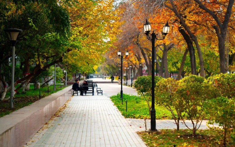 新疆财经大学