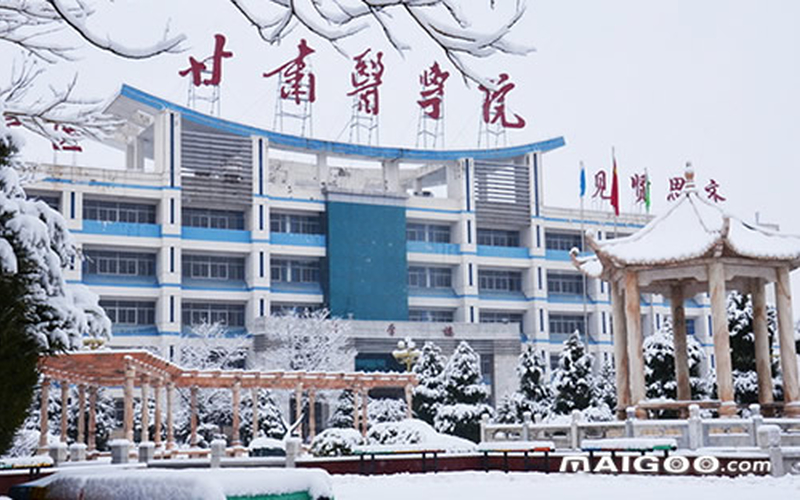 甘肃医学院