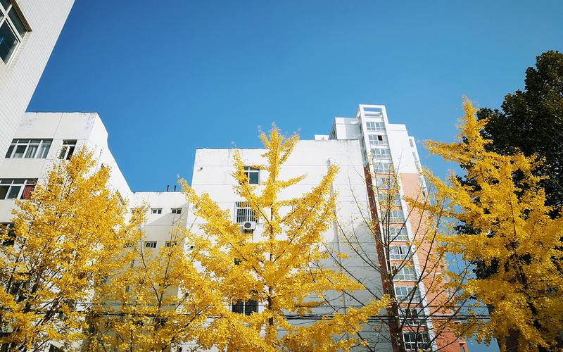 陕西机电职业技术学院