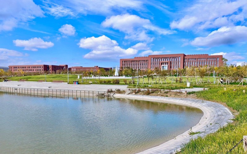 新疆大学
