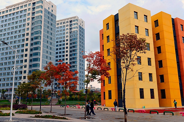 甘肃农业大学