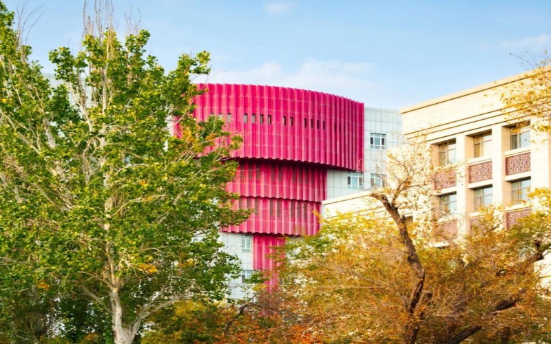 新疆财经大学