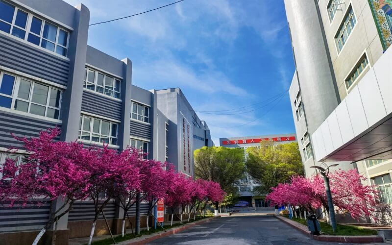 新疆艺术学院