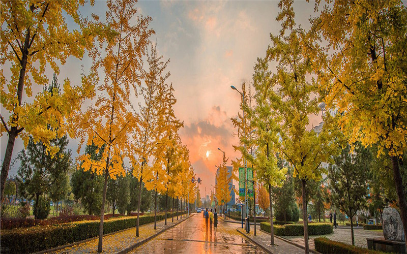 陇东学院