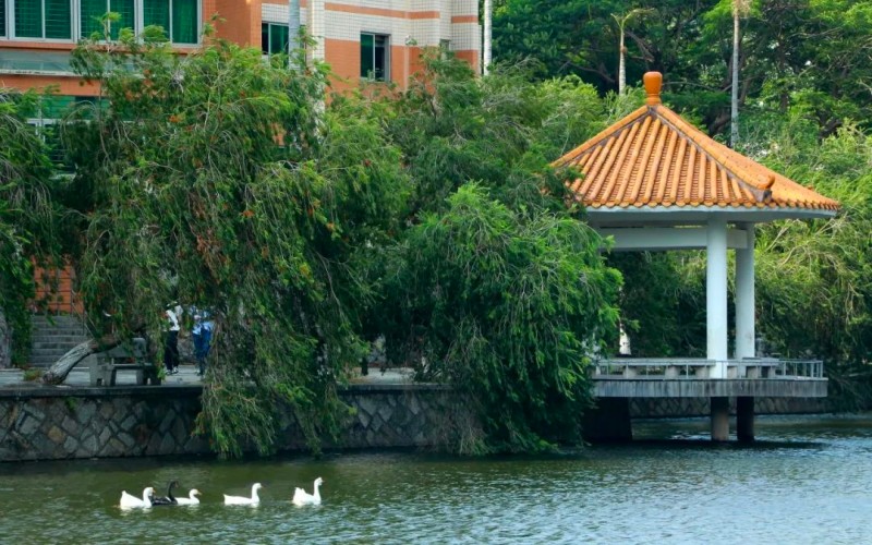 华侨大学