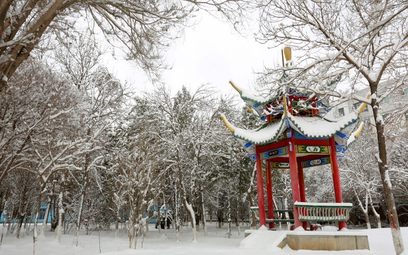 新疆农业职业技术大学