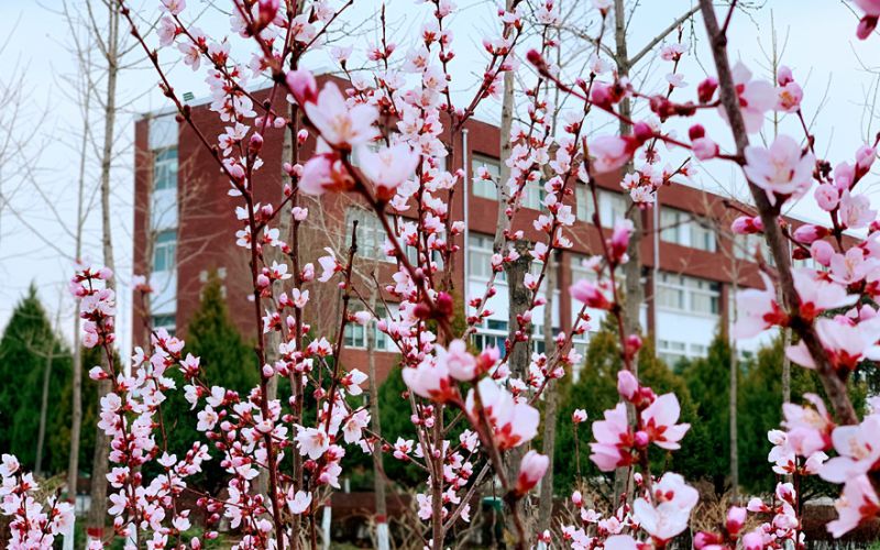 宁夏建设职业技术学院