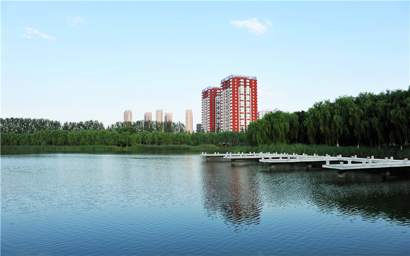 宁夏大学