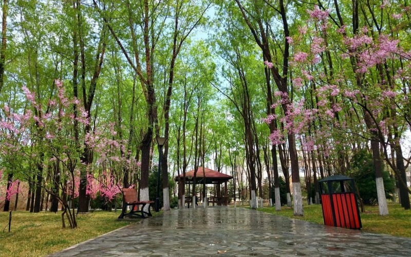 兰州财经大学
