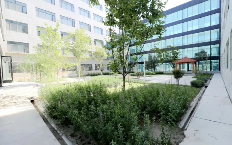 新疆科信职业技术学院