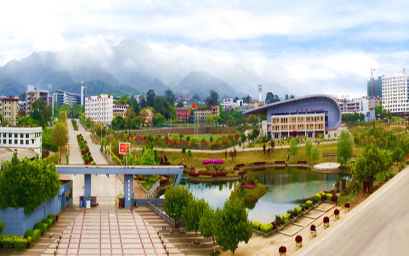龙岩学院