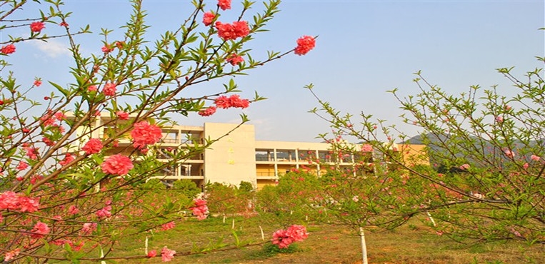 龙岩学院