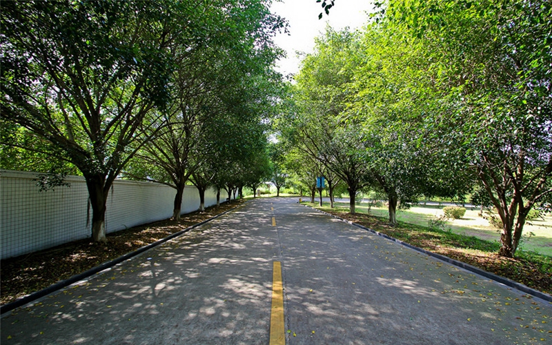 仰恩大学