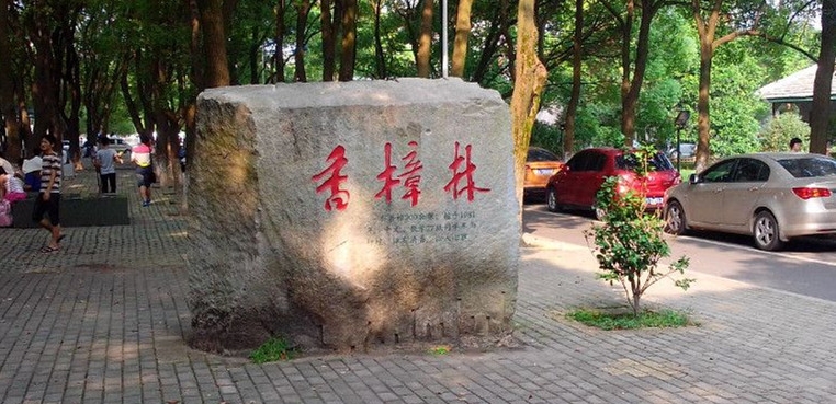江西师范大学科学技术学院