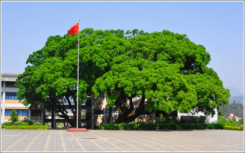 龙岩学院