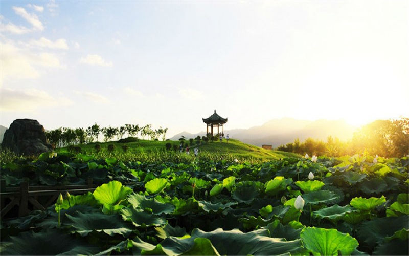 福建中医药大学