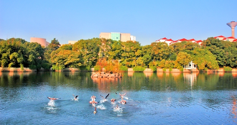 江西财经大学
