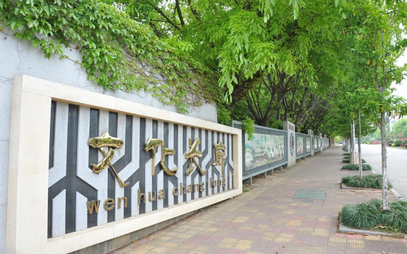 龙岩学院