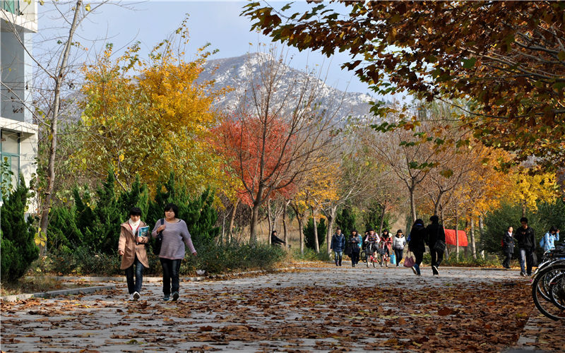 齐鲁工业大学
