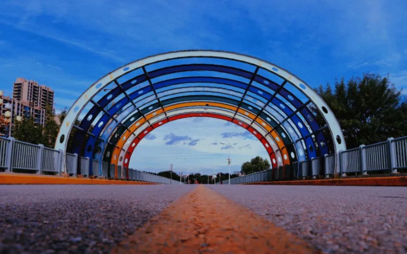 聊城大学
