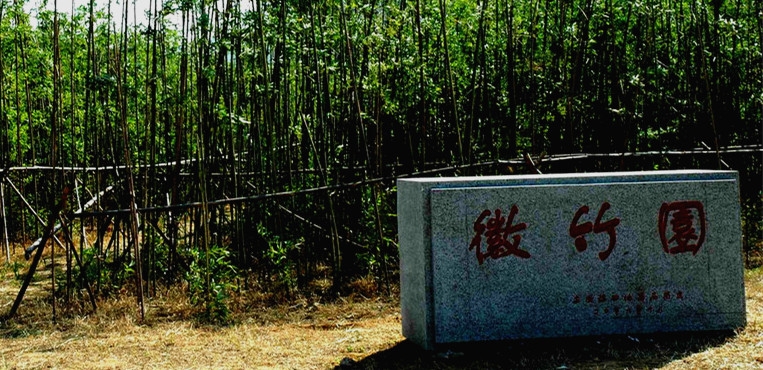 山东科技大学