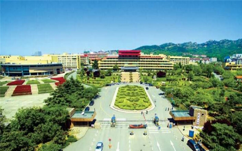 青岛大学