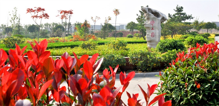 枣庄学院